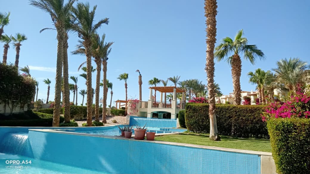 Veranda landscaped setting